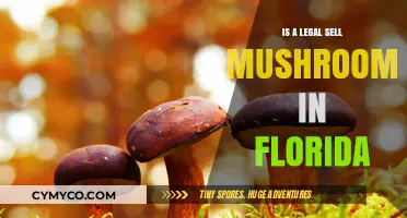 Exploring the Legality of Selling Mushrooms in Florida: A Comprehensive Guide