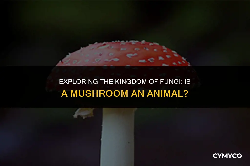 is a mushroom an animal