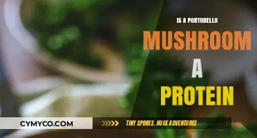 Exploring the Protein Content of Portobello Mushrooms: A Nutritional Insight