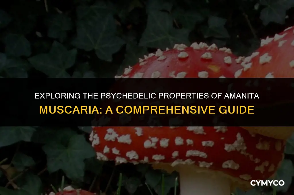 is amanita muscaria psychedelic
