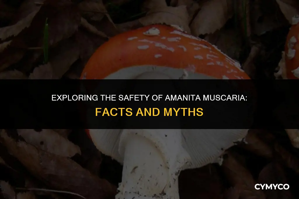 is amanita muscaria safe