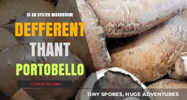 Exploring the Differences: Oyster Mushrooms vs. Portobellos