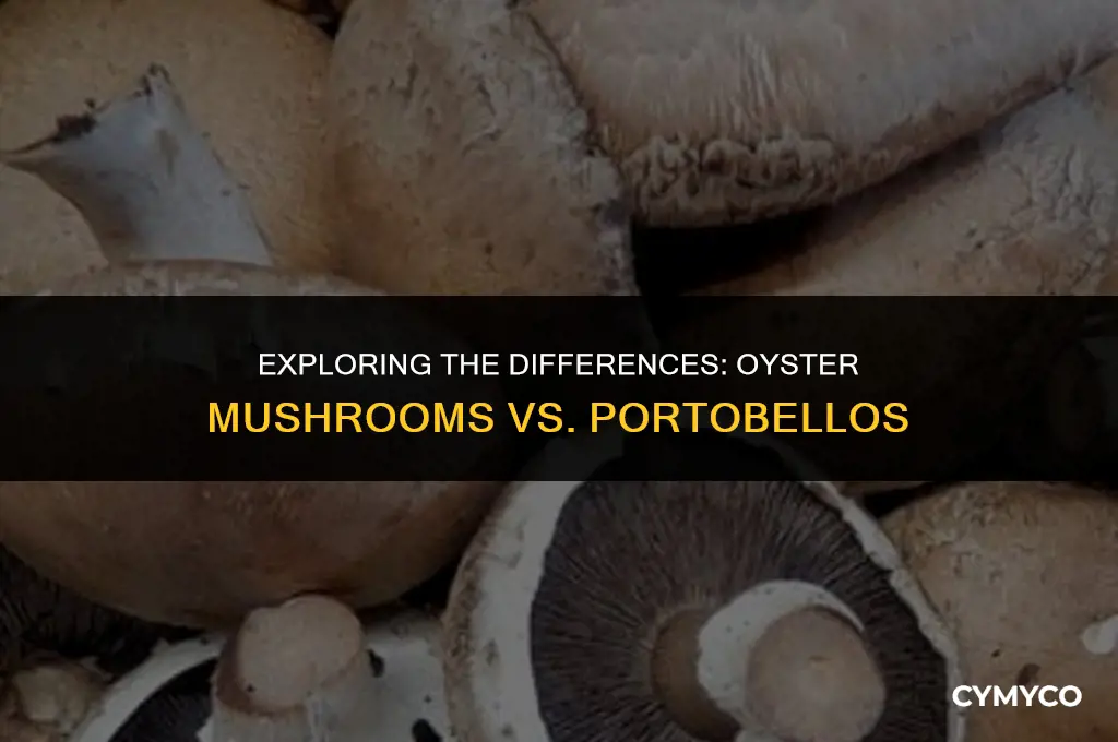 is an oyster mushroom defferent thant portobello