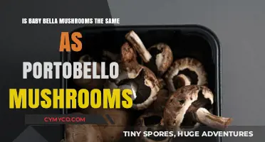 Exploring the Differences: Baby Bella vs Portobello Mushrooms
