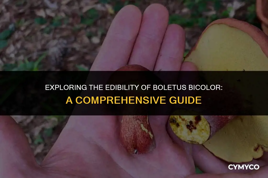 is boletus bicolor edible