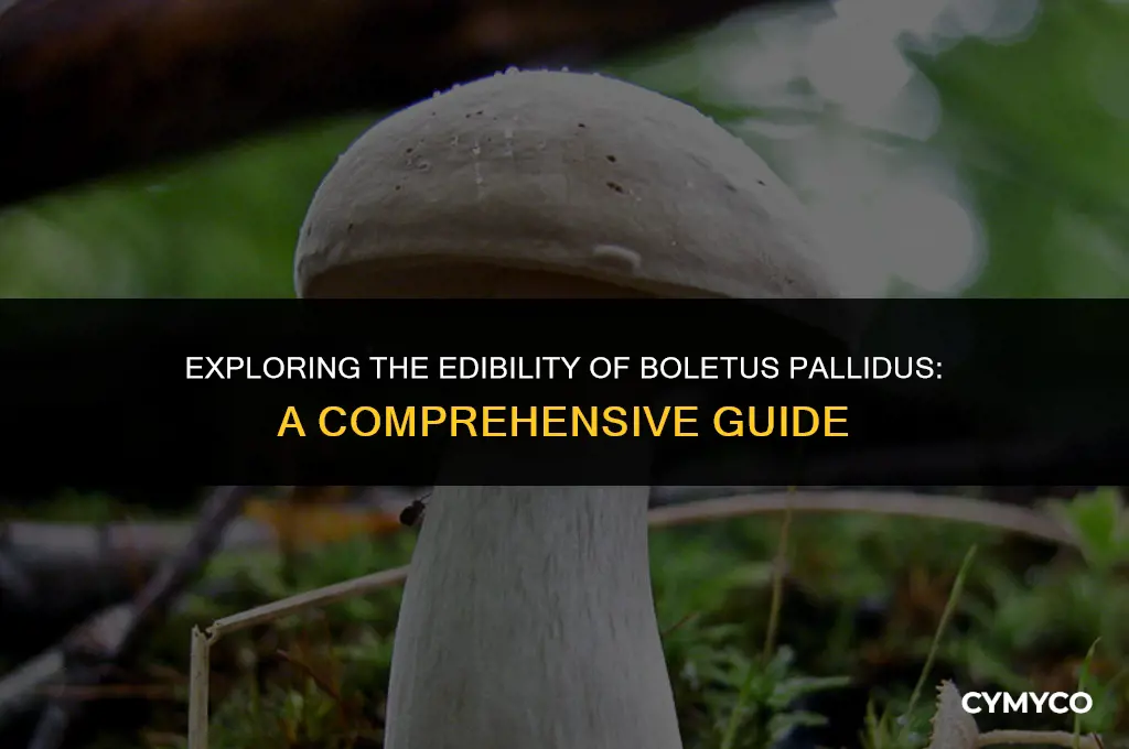 is boletus pallidus edible