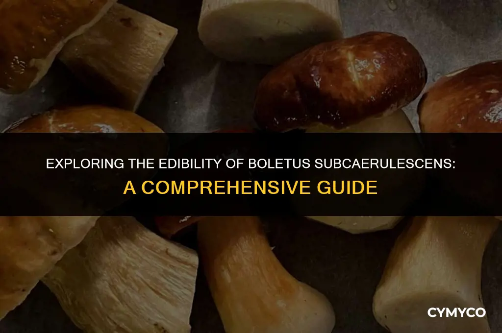 is boletus subcaerulescens edible