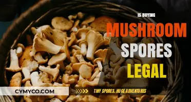 Exploring the Legal Landscape of Mushroom Spores: A Comprehensive Guide