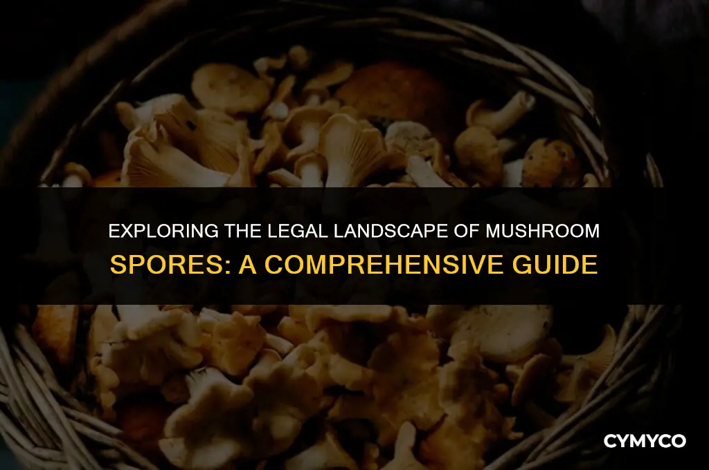 is buying mushroom spores legal