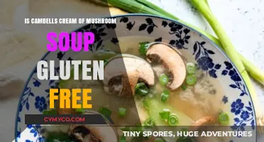 Is Campbell's Cream of Mushroom Soup Gluten-Free? Find Out Here