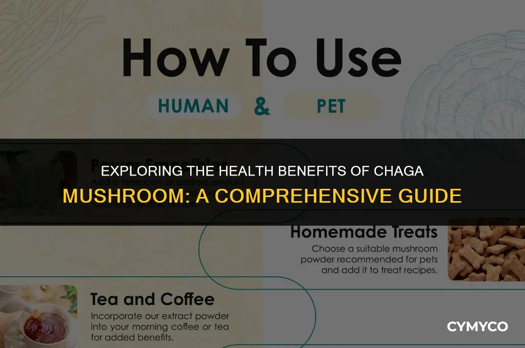 is chaga mushroom good for you
