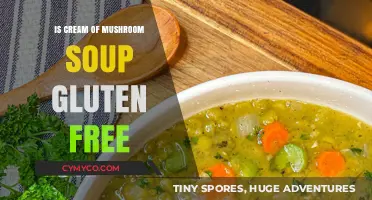 Exploring Gluten-Free Options: The Truth About Cream of Mushroom Soup