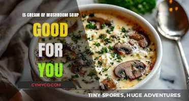 Cream of Mushroom Soup: Nutritional Benefits and Health Considerations Explored
