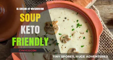 Exploring Keto: Can Cream of Mushroom Soup Fit?
