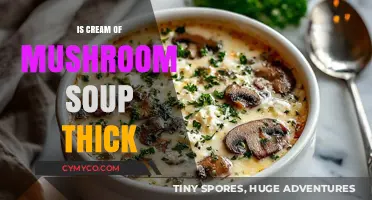 Is Cream of Mushroom Soup Thick? Exploring Its Texture and Consistency