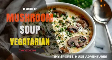 Is Cream of Mushroom Soup Vegetarian? A Detailed Ingredient Analysis