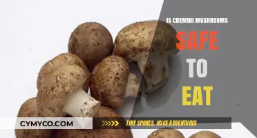 Exploring Edibility: Are Cremini Mushrooms Safe to Eat?