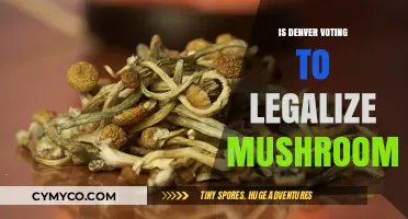 Denver's Psychedelic Shift: A Vote on Legalizing Mushrooms
