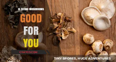 Exploring the Health Benefits of Mushrooms: A Nutritional Guide