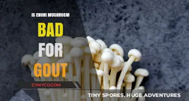 Exploring the Impact of Enoki Mushrooms on Gout: A Nutritional Insight