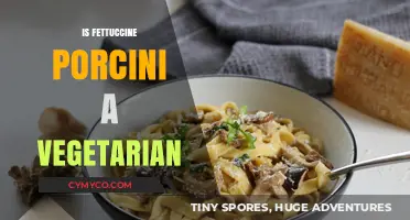 Exploring the Vegetarian Status of Fettuccine Porcini: A Culinary Journey