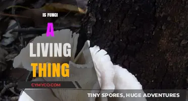 Exploring the Enigmatic Nature of Fungi: Alive or Not?