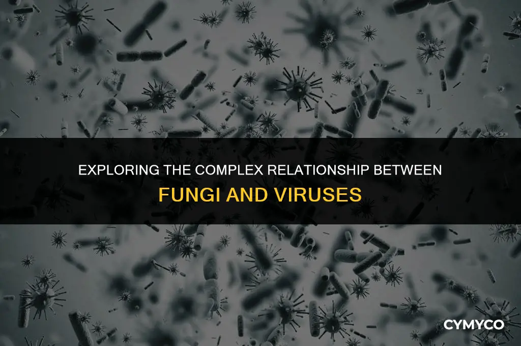 is fungi a virus