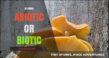 Exploring the Intriguing World of Fungi: Abiotic or Biotic?