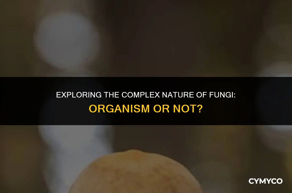 is fungi an organism