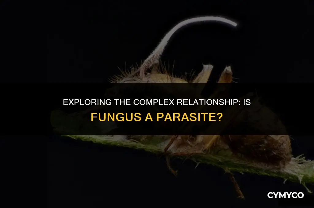is fungus a parasite