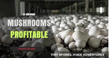Exploring the Lucrative World of Mushroom Cultivation: A Profit Guide