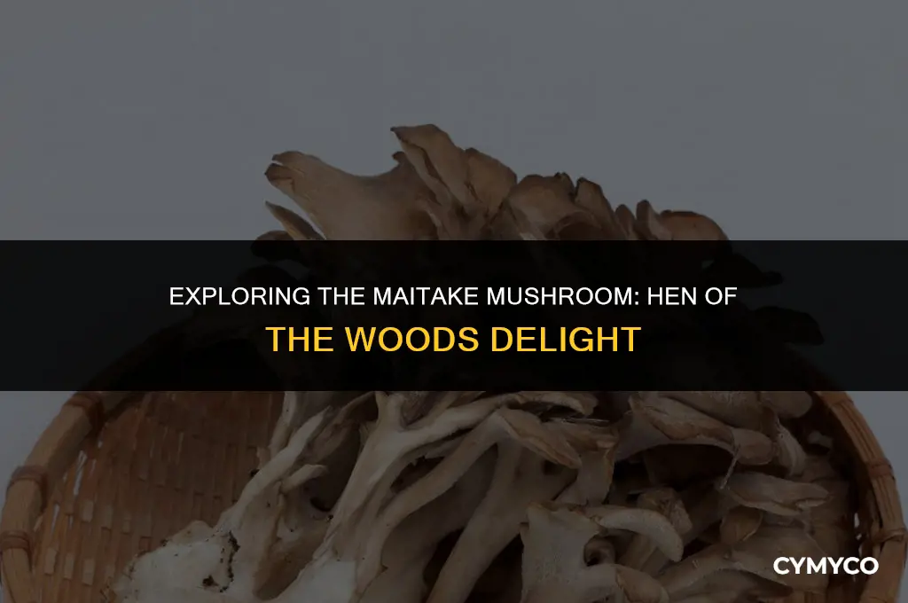 is hen of the woods maitake