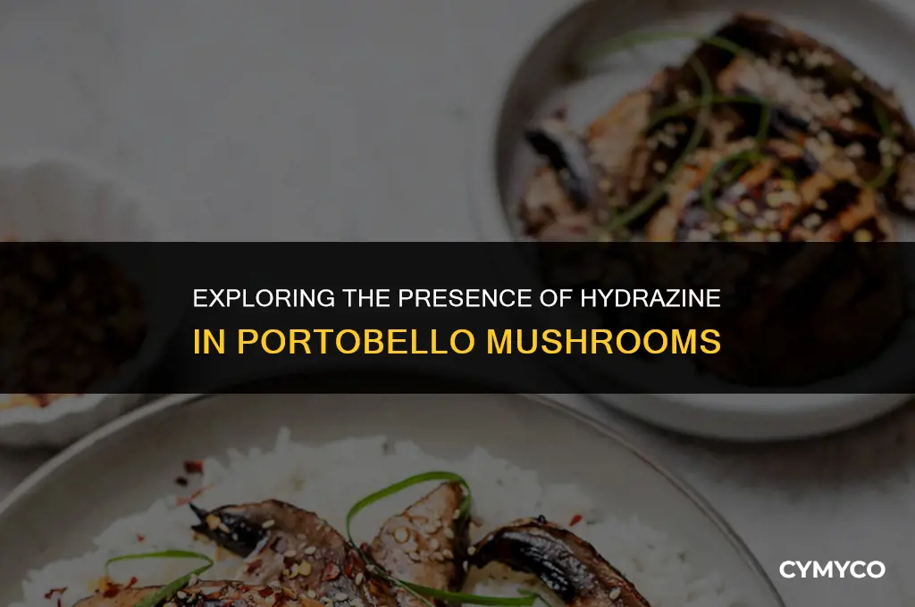 is hydrazine in portobello mushrooms