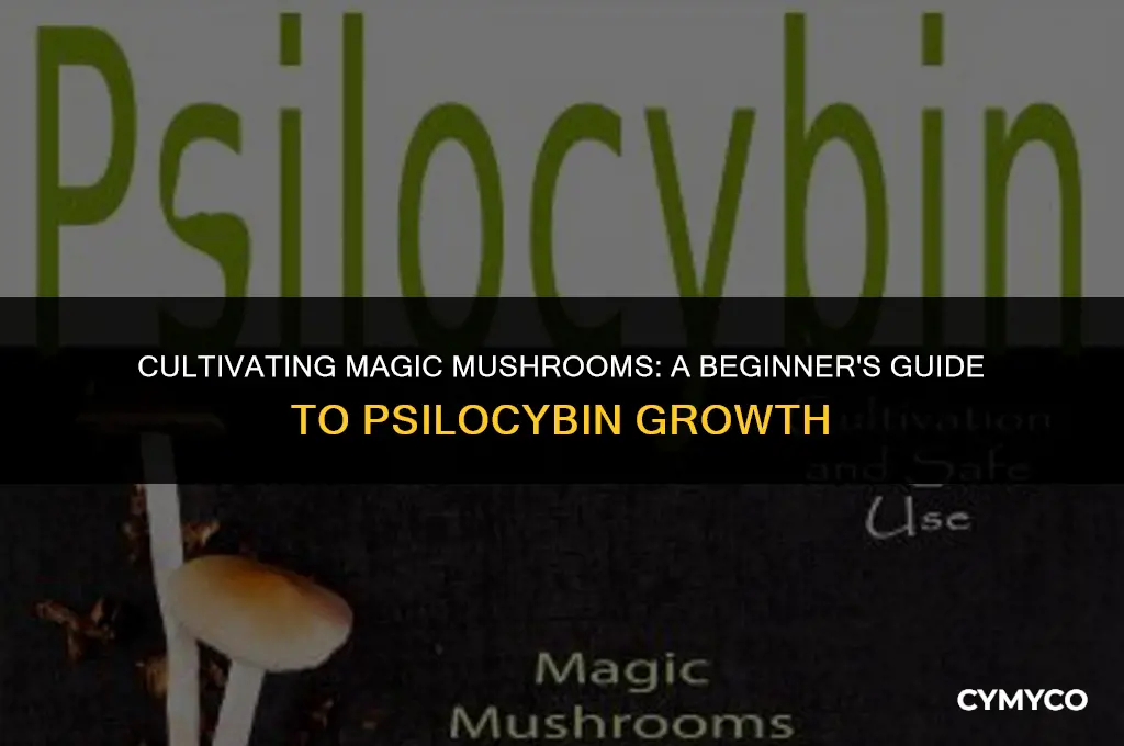 is it hard to grow magic mushrooms