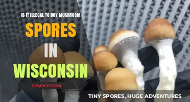 Exploring the Legality of Mushroom Spores in Wisconsin