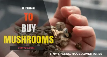 Exploring the Legal Landscape of Mushroom Purchases: A Comprehensive Guide