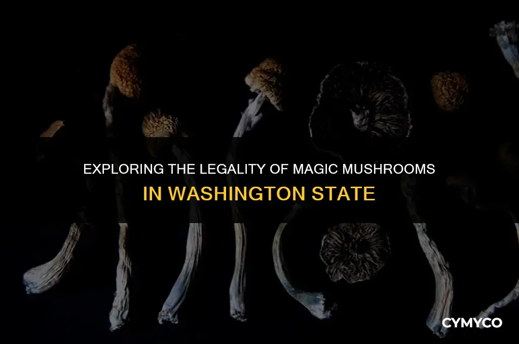 is it illegal to purchase magic mushrooms in washington state