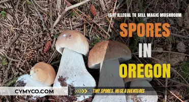 Exploring the Legal Landscape of Magic Mushroom Spores in Oregon