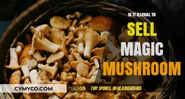 Exploring the Legal Landscape of Magic Mushroom Sales