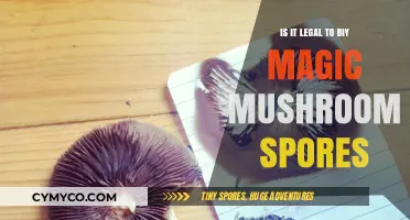 Exploring the Legality of Magic Mushroom Spores: A Comprehensive Guide