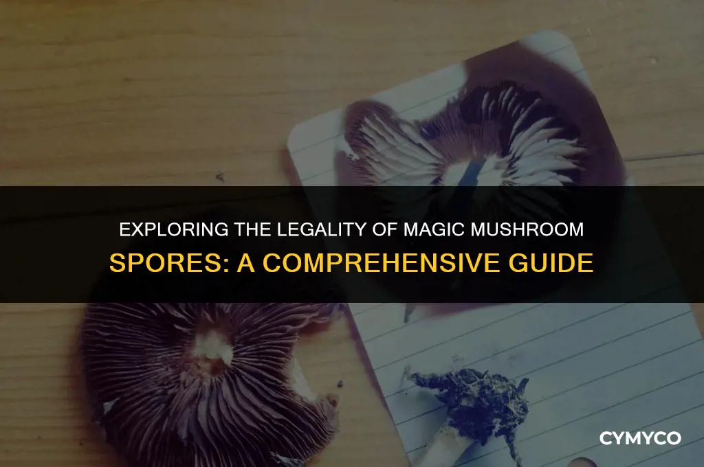 is it legal to biy magic mushroom spores