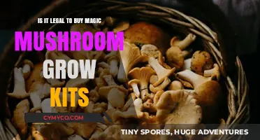 Exploring the Legality of Magic Mushroom Grow Kits: A Comprehensive Guide