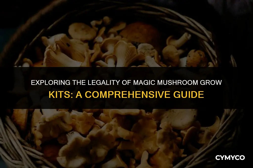is it legal to buy magic mushroom grow kits