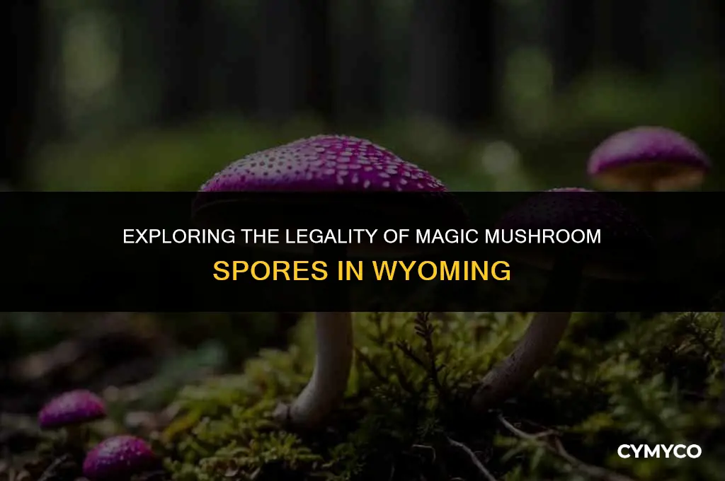 is it legal to buy magic mushroom spores in wyoming