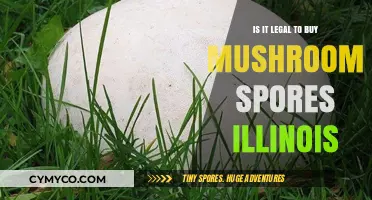 Exploring the Legality of Mushroom Spores in Illinois: A Comprehensive Guide