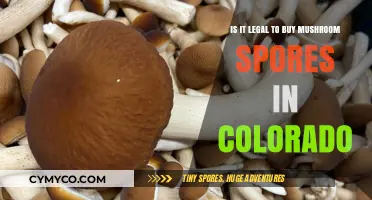Exploring the Legality of Mushroom Spores in Colorado: A Comprehensive Guide