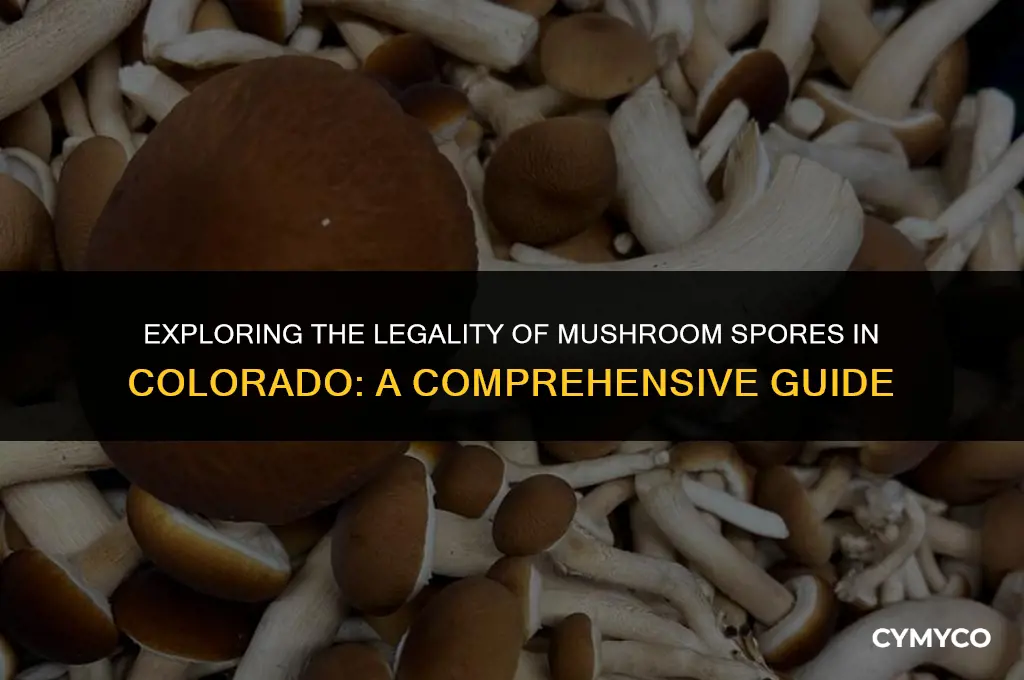 is it legal to buy mushroom spores in colorado