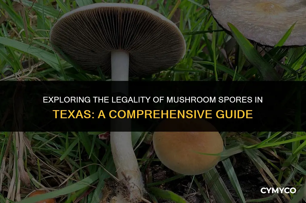 is it legal to buy mushroom spores in texas