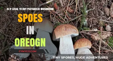 Exploring the Legality of Psychedelic Mushroom Spores in Oregon