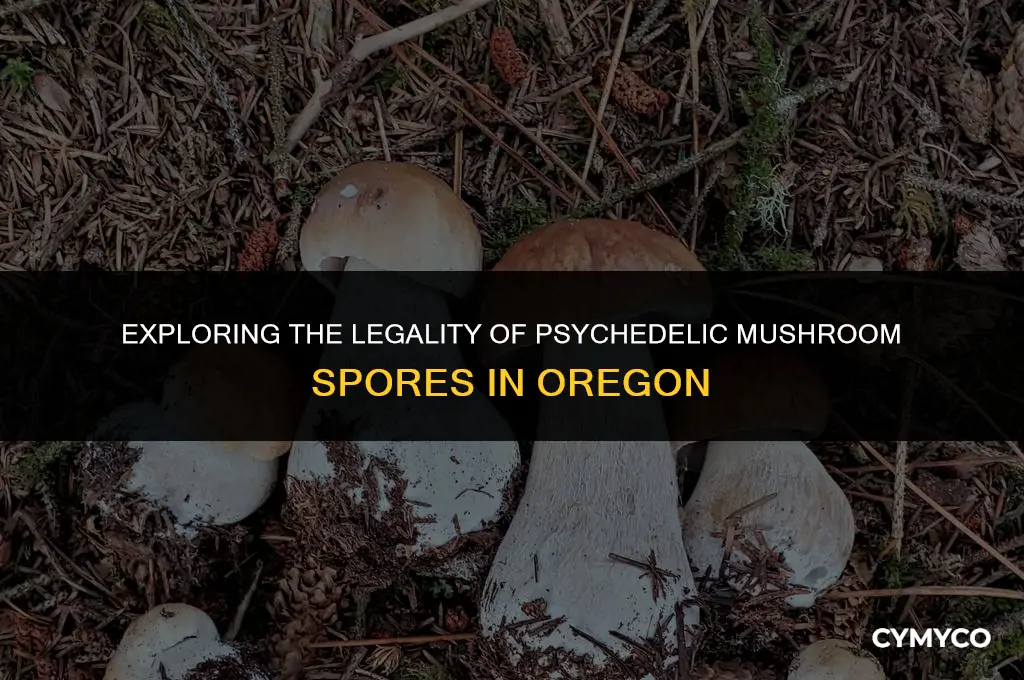 is it legal to buy pscyadelic mushroom spoes in oreogn